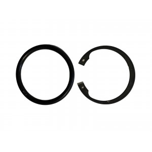 CLIP Y JUNTA TORICA CIGUEÑAL