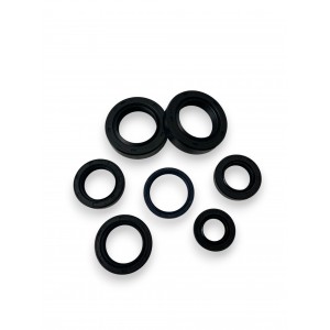 RETENES MOTOR ENDURO 250 H6