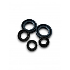 RETENES MOTOR COTA 74-123-174