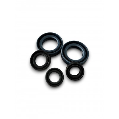 RETENES MOTOR COTA 74-123-174