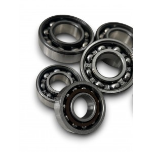 RODAMIENTOS MOTOR MONTESA... 2