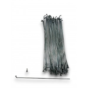 RADIOS RUEDA TRASERA IMPALITA