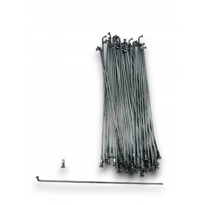 RADIOS RUEDA TRASERA IMPALITA